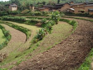 務米長村 務米長村