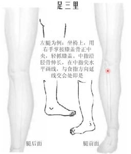 足三里