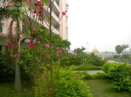 隆安縣第三中學 隆安縣第三中學