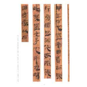 關沮秦漢墓簡牘(精)