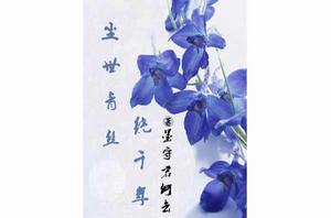 塵世青絲繞千年 塵世青絲繞千年