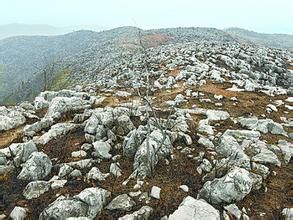 石質荒漠化 石質荒漠化