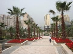 雅居樂國際花園 雅居樂國際花園