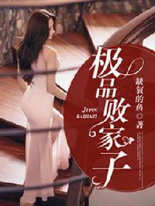 極品敗家子[暗夜文學網小說]