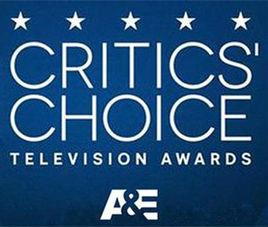 第5屆美國電視評論家選擇獎 第5屆美國電視評論家選擇獎