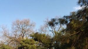 索尼愛立信MT15i視頻截圖