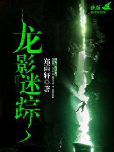 龍影迷蹤 龍影迷蹤