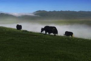 阿萬倉鄉 阿萬倉鄉