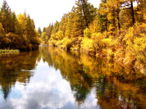 圖們江源國家森林公園 圖們江源國家森林公園