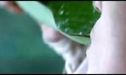 翻唱答應不愛你 翻唱答應不愛你