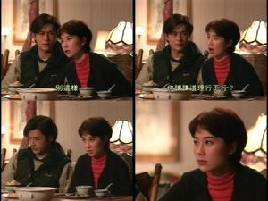 如果有來世[梅婷主演電視劇]