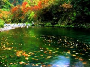 普渡河自然保護區 普渡河自然保護區