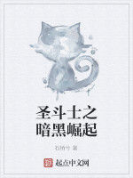 聖鬥士之暗黑崛起 聖鬥士之暗黑崛起