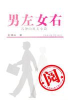 《男左女右》[小說]