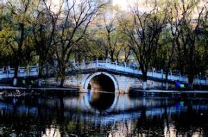 雲南(森林自然中心) 雲南(森林自然中心)