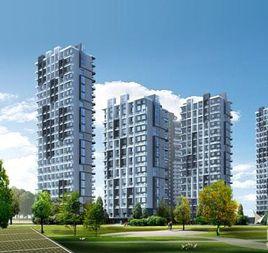 水晶國際 水晶國際