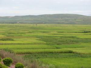 （圖）雨過鋪鎮