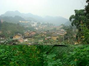 磨山大寨自然村