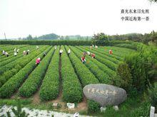 日照山海天省級旅遊度假區