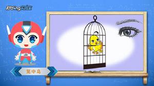 生物實驗 生物實驗