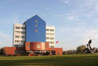 山東得利斯集團