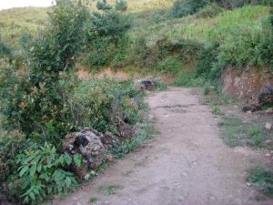 郎馬路村 郎馬路村