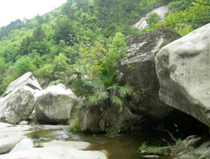 天龍關景區 天龍關景區
