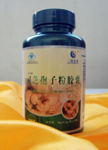 槐耳顆粒 槐耳顆粒