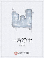 一片淨土 一片淨土