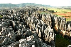 （圖）雲南石林地質公園