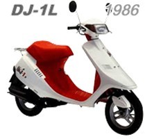 DJ1L