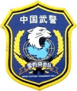 雪豹突擊隊