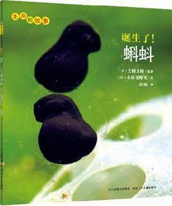 誕生了!蝌蚪 誕生了!蝌蚪