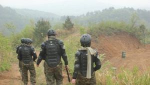 諸葛拓軍 諸葛拓軍