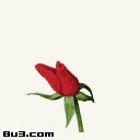 《哥哥帶你去私奔》 《哥哥帶你去私奔》