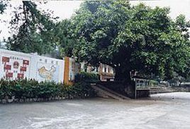 華南農業大學附屬國小 華南農業大學附屬國小