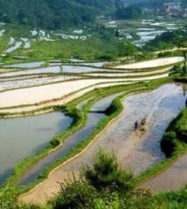 潁水春耕 潁水春耕