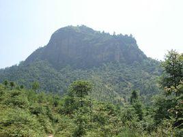 高嶺[廣東省湛江市地名]