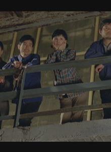 高粱花子 高粱花子