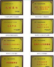 南方IT榮譽