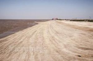 濱州貝殼堤島自然保護區 濱州貝殼堤島自然保護區