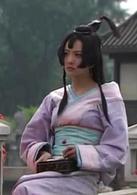 母儀天下[2008年黃健中執導電視劇]