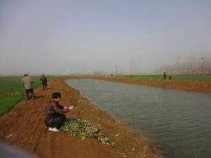 大廟李村 大廟李村