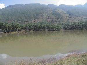 如意南村 如意南村