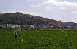 甲石洞村 甲石洞村