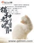 貓和老鼠的遊戲 貓和老鼠的遊戲