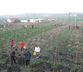張八橋鎮 張八橋鎮