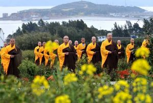 普陀山的僧人在普陀佛茶的祈福茶會上沐茶園