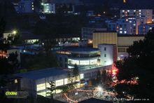 大廠工人文化宮（巴里上區）