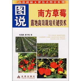 圖說南方草莓露地高效栽培關鍵技術
